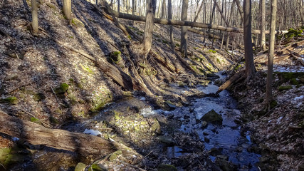 Hamilton is a beautiful Canadian city with forest and waterfalls