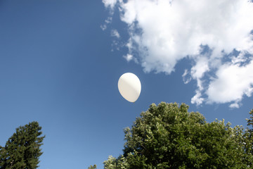 palloncini