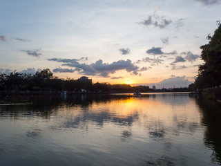 Fototapeta premium Marsh in the park in Twilight .