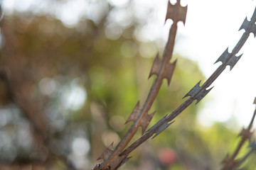 Close-up fence with barbed wire against a blurred background