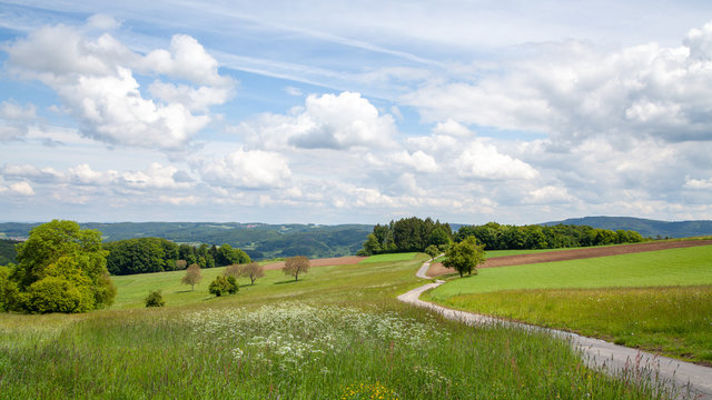 wide angle panorama in a lovely landscape with a curved path that leads diagonally through the picture. In the distance trees, forest and the hilly landscape of the Odenwald mountains