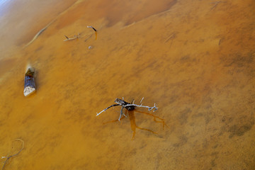The surface of the sulfur lake