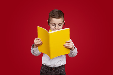 Funny schoolboy reading interesting book