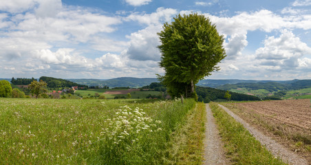 Wide angle panorama with agricultural path in the middle. On the right you can see the field and on the left a pasture with tall grass. In the distance a lonely village and low mountain range