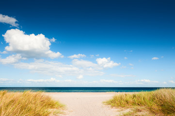 Sandy beach in Copenhagen, Denmark. Blue sea and sky with white clouds. Beautiful summer landscape