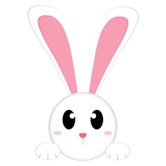 Cute bunny head