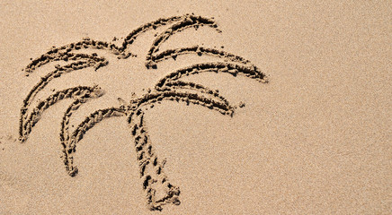 Palm drawn on sand texture.