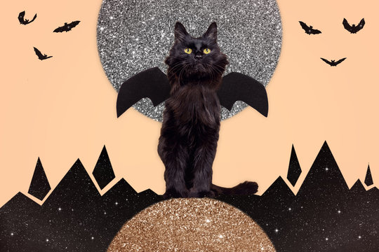 Bat Cat with Moon