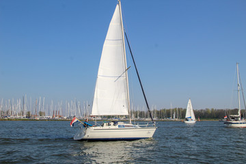 sailing in the bay