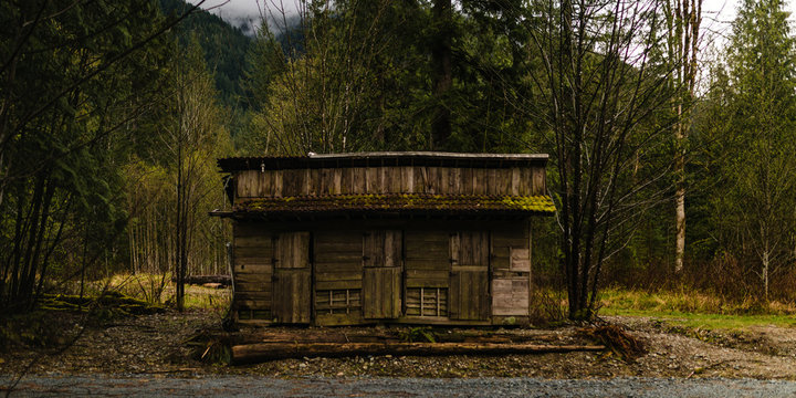 Cabin in the Hills