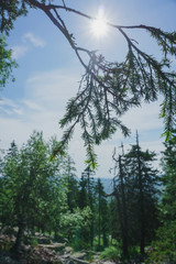 Alpine meadows Taganay