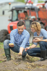 Couple of agronomists analyses the potatoes harvesting data  in a field