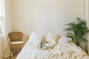 Modern romantic scandi boho style bedroom interior with decorative pillows, green plant and empty...