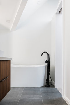 Modern bathroom with a freestanding tub and floor mounted black