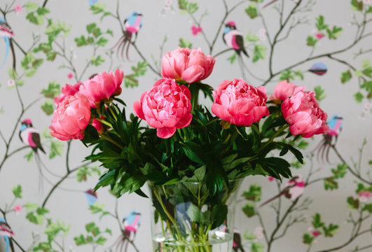 Pink peonies and wallpaper.