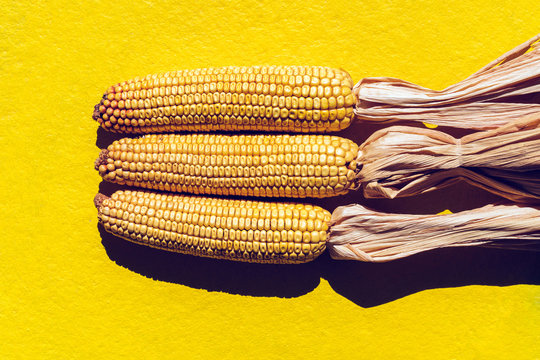 Yellow Corn.