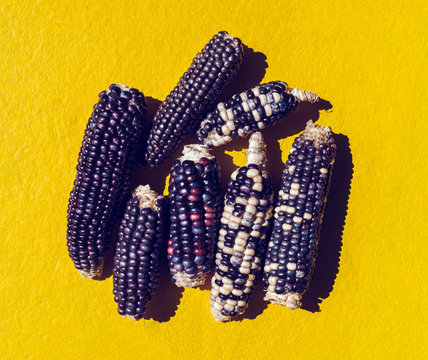 Indian Corn On A Yellow Background.