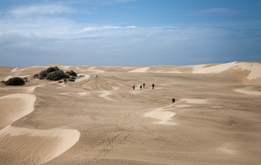Fototapeta na wymiar people walk the sand dunes leading to the ocean