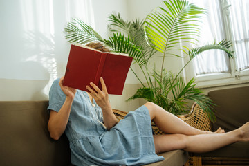 Young woman reading book on sofa in room