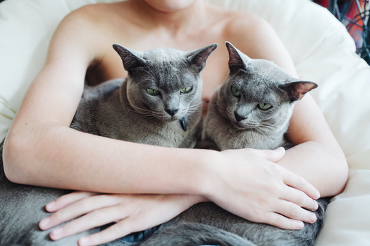 Boy hugging two cats
