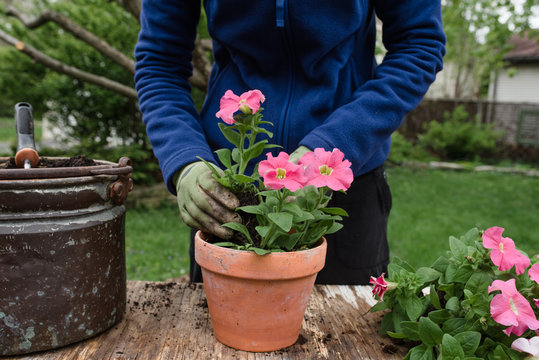 Planting Flowers