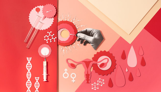 Fertilization process