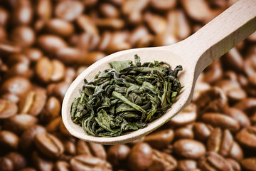 Green tea is healthy alternative for coffee. Pile of dry leaves pile. Wooden spoon of green tea isolated over coffee seeds. Proven benefits of antioxidant tea over coffee beans.