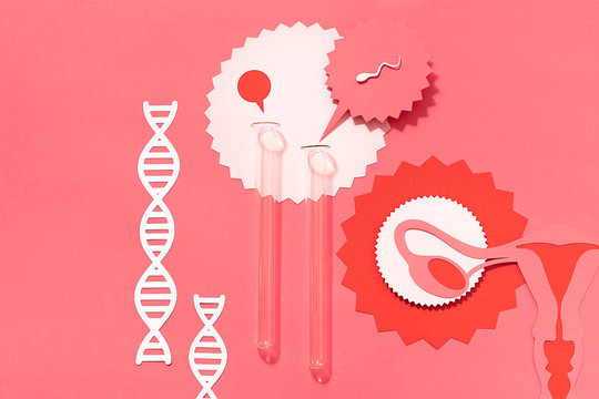 Fertilization process