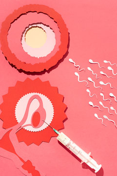 Fertilization process