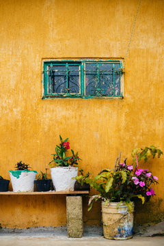 Yellow stained wall and three flower pots