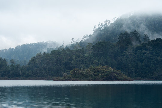 misty forest by the cold mountain lake