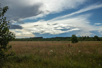 clouds over the field