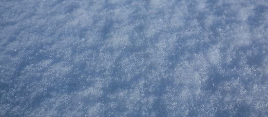 Background of snow flakes in blue color. Small stars laying on the surface as a white blanket during Winter in Sweden.