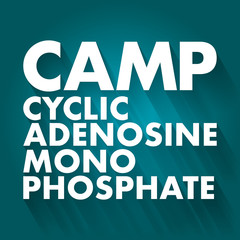 CAMP - Cyclic Adenosine MonoPhosphate acronym, medical concept background