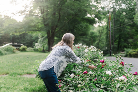 woman cutting peonies