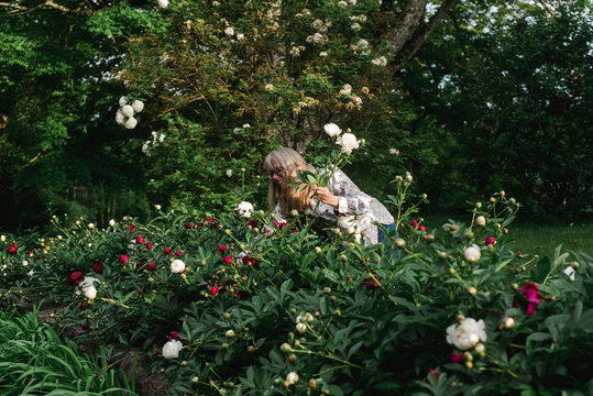 woman picking peonies
