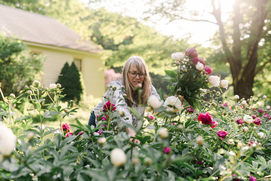 woman picking peonies