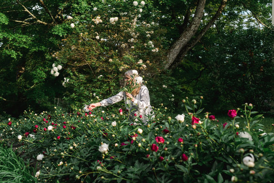 woman cutting peonies