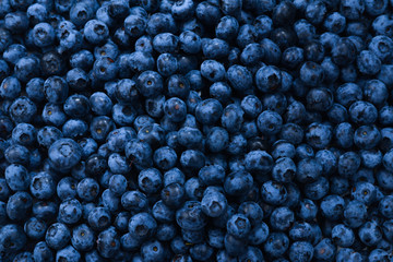 Fresh blueberry background. Texture blueberry berries close up.