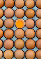 Group of organic free range chicken eggs in the basket at nature village farmland. Fresh eggs for sale at a market. Fresh Chicken Rooster Eggs on at Local Farmer Market.