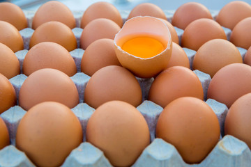 Group of organic free range chicken eggs in the basket at nature village farmland. Fresh eggs for sale at a market. Fresh Chicken Rooster Eggs on at Local Farmer Market.