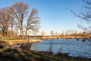 nature park St. Martensheid - De Luysen Bree, Belgium