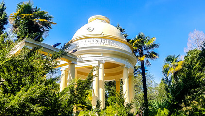 Yellow gazebo in the arboretum of Sochi. 