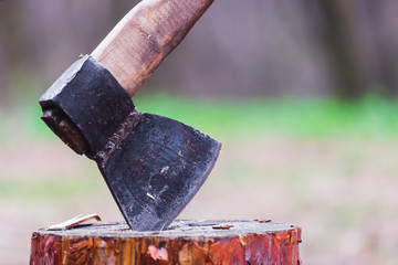 Axe in a log, closeup
