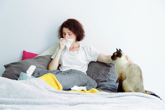 Ill female stroking cat and sneezing