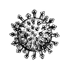 Different kinds of virus  sketch. Biology organisms illustration in vintage engraved style. Corona Virus.  Coronavirus 2019-nCoV and other.