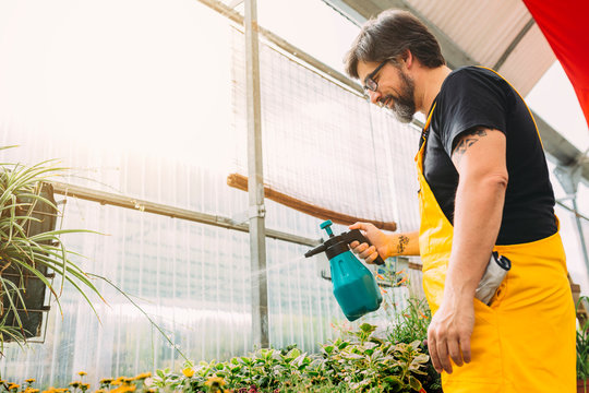Happy mid adult man working in greenhouse
