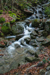 Naklejka na ściany i meble A stream among stones covered with fallen leaves