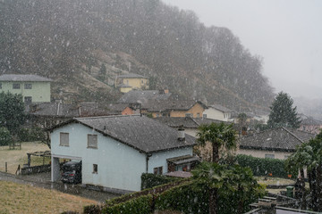 Snow falling in Arbedo village, south of Switzerland 