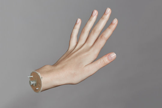 Real mannequin hand